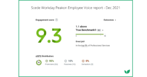Scede's Workday Peakon Employee Voice report
