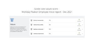 Scede.io core values